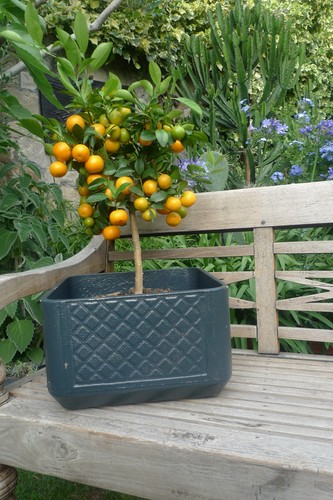 Vintage eternit planter - vintage,